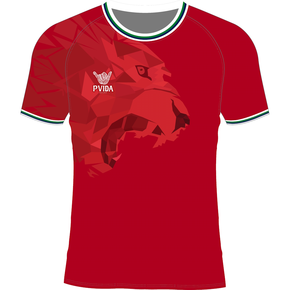 Lions Training Tee - Wales