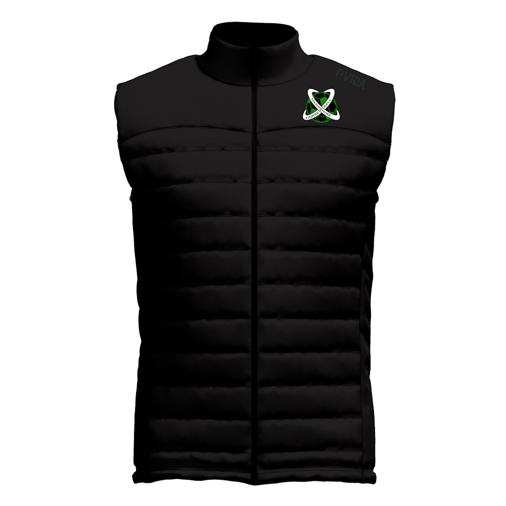 Hampshire Horseball - Gillet